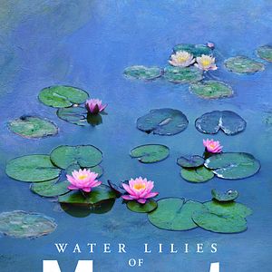 Bilder Le ninfee di Monet - Un incantesimo di acqua e luce