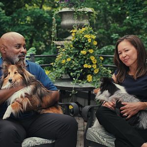 Bilder Was Hunde denken