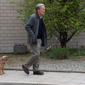 Bilder Ein fast perfekter Antrag