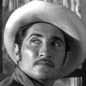 Bilder Armando Silvestre