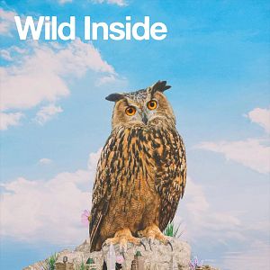 Bilder Wild Inside