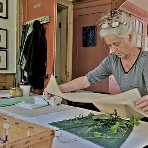 Bilder Die Treibende Kraft