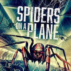 Bilder Spiders On A Plane