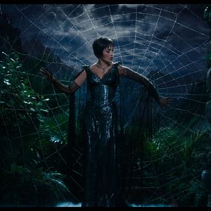 Bilder Kiss Of The Spider Woman