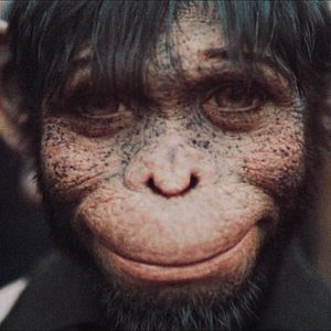 Bilder Better Man - Die Robbie Williams Story