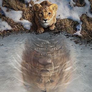 Bilder Mufasa: Der König der Löwen