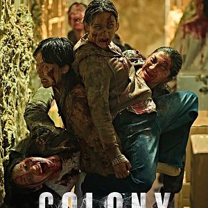 Bilder Colony