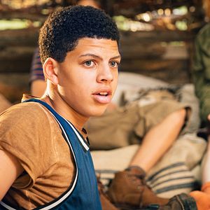 Bilder Woodwalkers 2