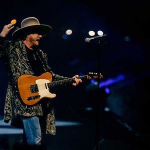 Bilder Zucchero – Sugar Fornaciari