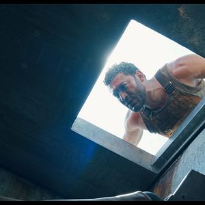 Bilder Flycatcher - Survival Has Its Price