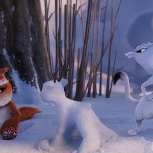 Bilder Niko - Reise zu den Polarlichtern