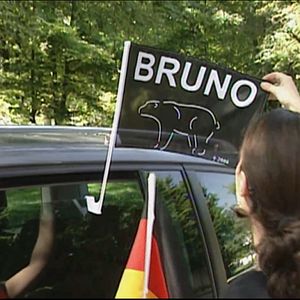 Bilder Gefährlich nah – Wenn Bären töten