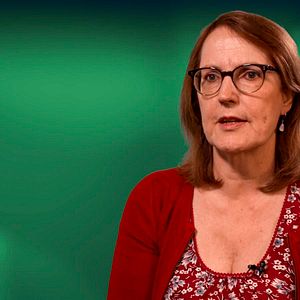 Bilder Urgewald - Auf den Spuren des Geldes