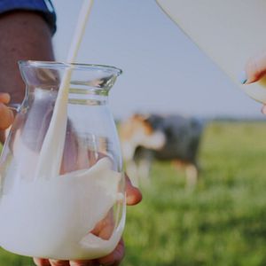 Bilder I Could Never Go Vegan