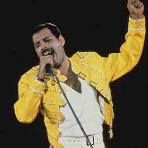 Bilder Freddie Mercury