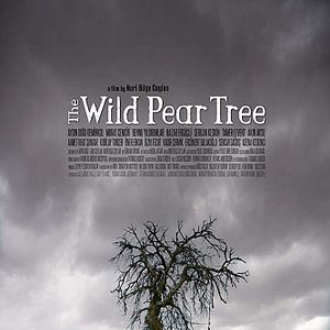 Bilder The Wild Pear Tree