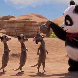 Bilder Der kleine Panda in Afrika