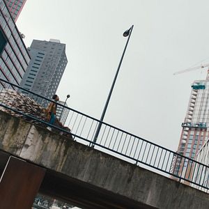 Bilder Mein Totemtier & ich