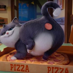 Bilder Alles für die Katz