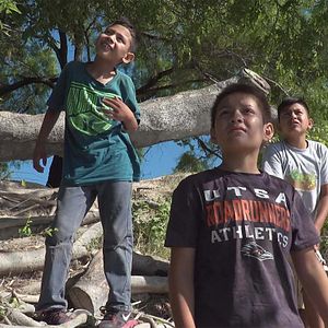 Bilder The In Between