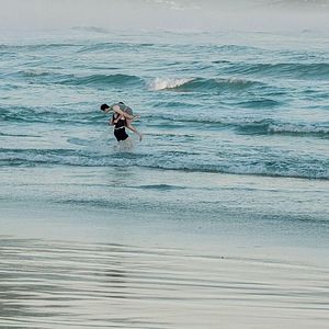 Bilder Lilies Not For Me