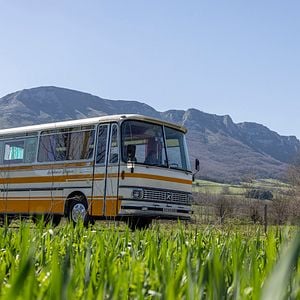 Bilder Ein Bus voller Leben