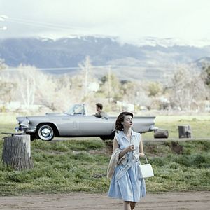 Bilder On Swift Horses