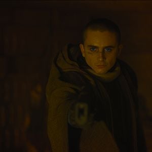 Bilder Timothée Chalamet