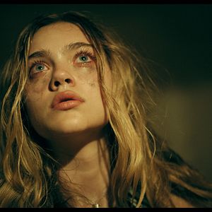 Bilder Flycatcher - Survival Has Its Price