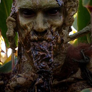 Bilder You Shall Not Sleep Tonight