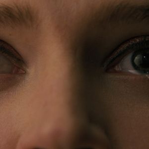 Bilder Companion - Die perfekte Begleitung