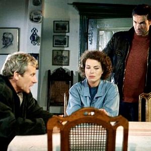 Bilder Das Haus am Watt