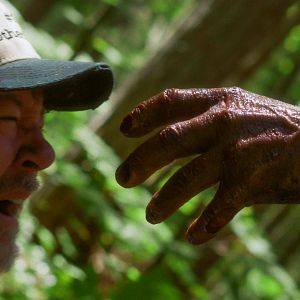 Bilder In A Violent Nature