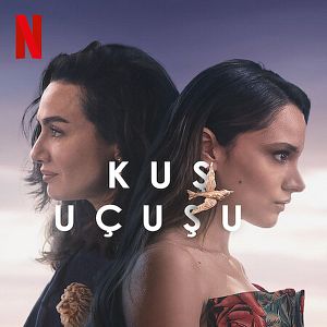 Bilder Der Vogel und die Löwin