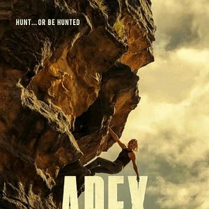 Bilder Apex