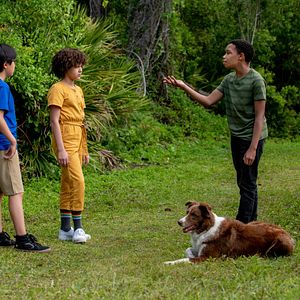 Bilder Tierische Detektive - Drei Kids und ihr größer Fall