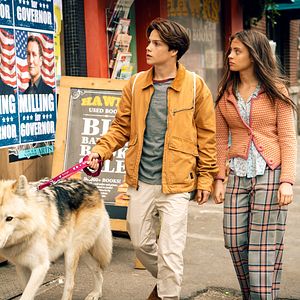 Bilder Woodwalkers 2