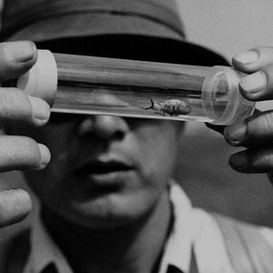 Bilder Die Frau in den Dünen