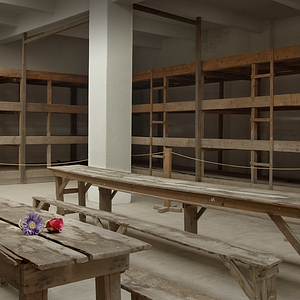 Bilder Kreis der Wahrheit