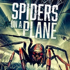 Bilder Spiders On A Plane
