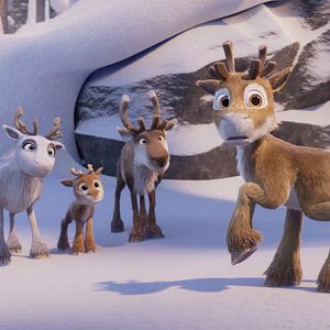 Bilder Niko - Reise zu den Polarlichtern