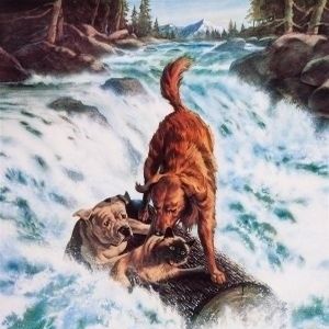 Bilder Zurück nach Hause