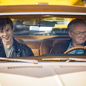 Bilder Brave The Dark