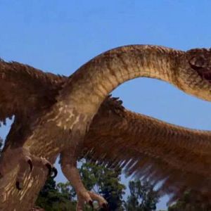 Bilder Die Hölle am Himmel