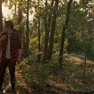 Bilder Lookout - Der Turm