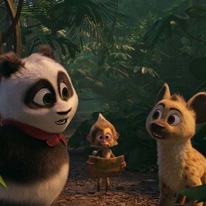 Bilder Der kleine Panda in Afrika