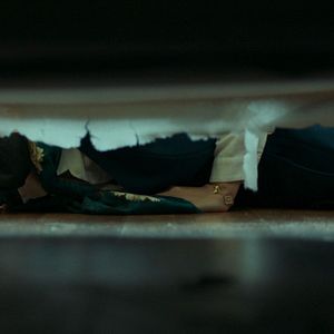 Bilder Creepy Crawly