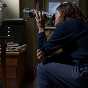 Bilder H wie Habicht