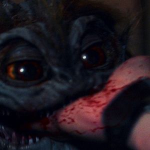 Bilder Monster On A Plane