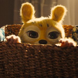 Bilder Marsupilami